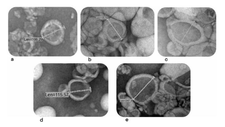 Липосомы, загруженные витамином С