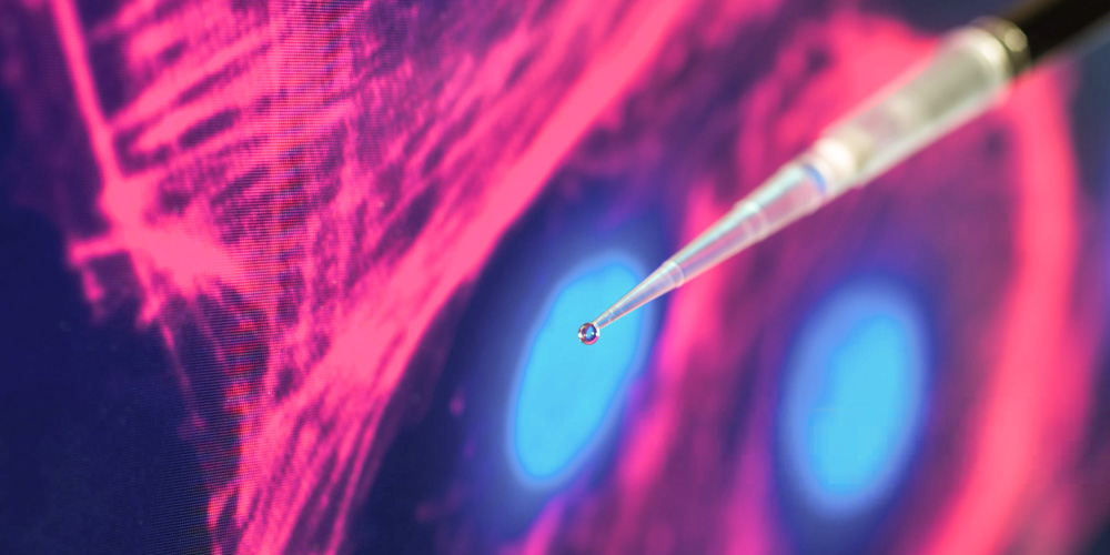 Стволовые клетки