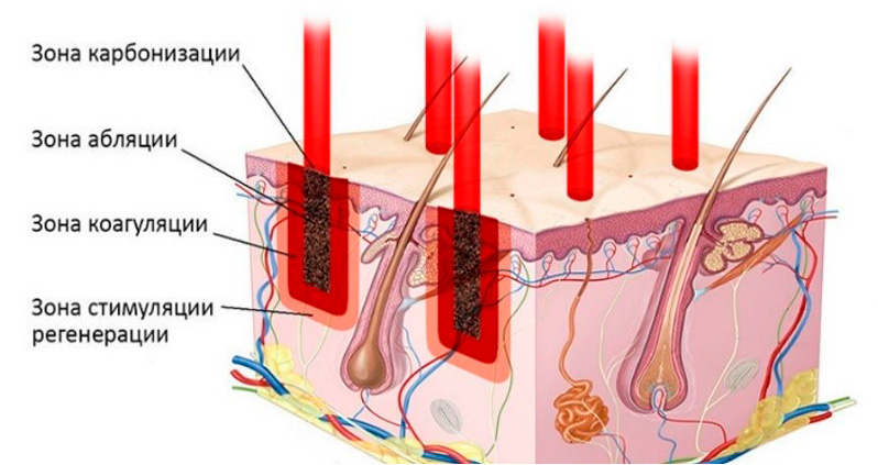 Карманчиков Владимир Сергеевич