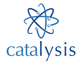 Образовательный проект Catalysis   