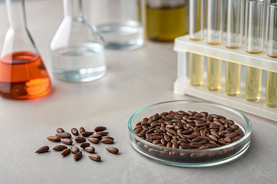 Доказаны отбеливающие свойства экстракта пиона