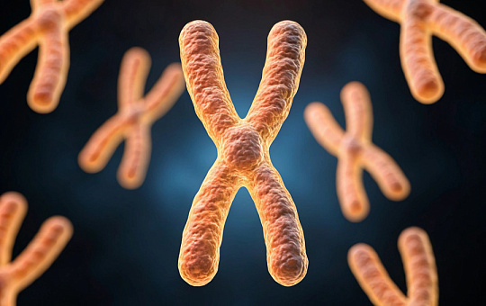 Нулевой пациент. Можно ли остановить старение теломер?