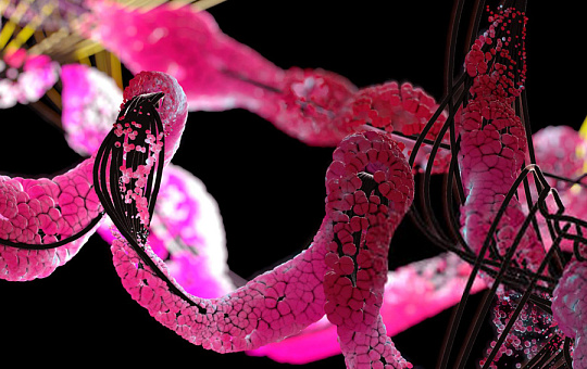 Аминокислоты против старения